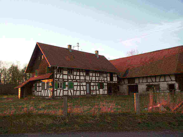Schollenhof 2002